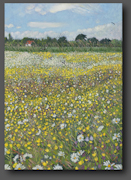 Buttercups and Daisies 70x50cm
